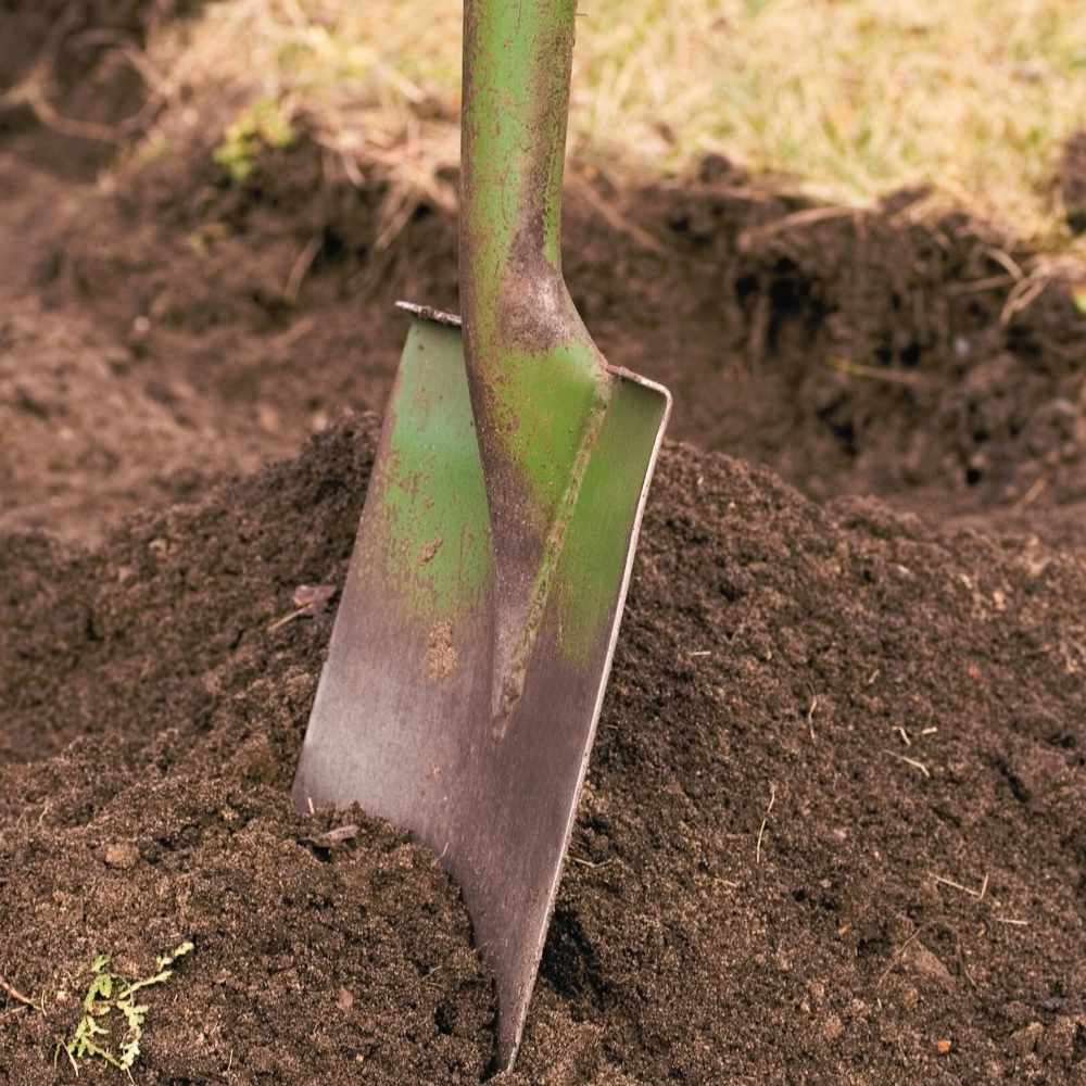 benefits-allotment-image